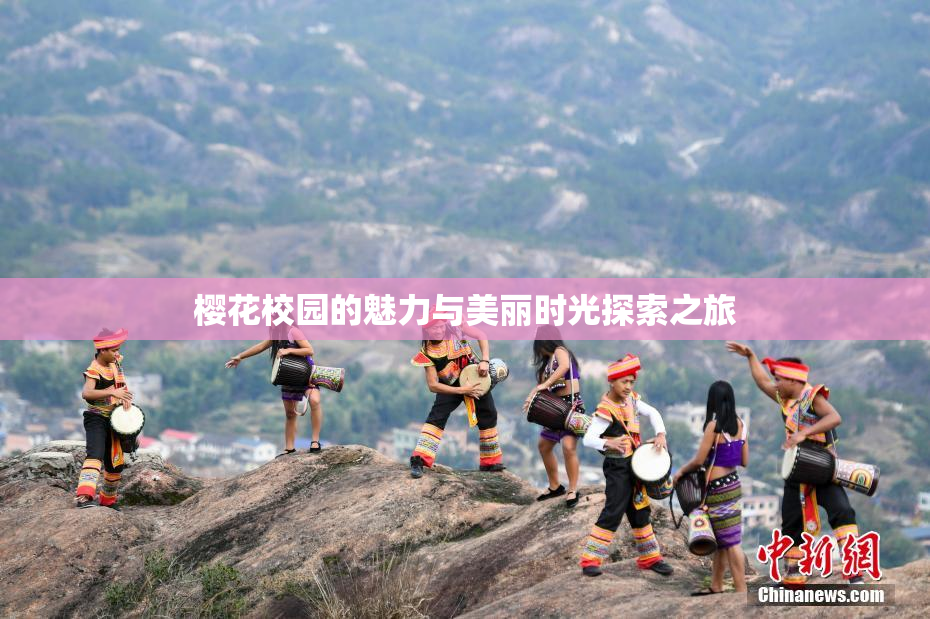樱花校园的魅力与美丽时光探索之旅