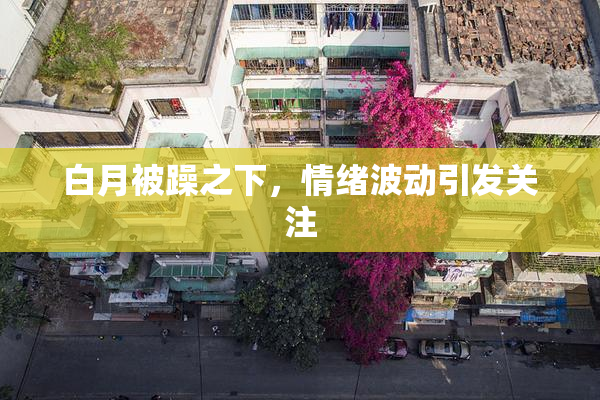 白月被躁之下，情绪波动引发关注