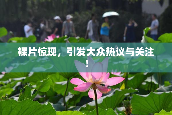 裸片惊现，引发大众热议与关注！