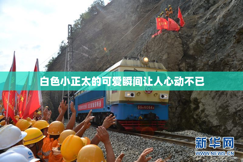 白色小正太的可爱瞬间让人心动不已