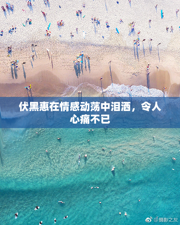 伏黑惠在情感动荡中泪洒，令人心痛不已