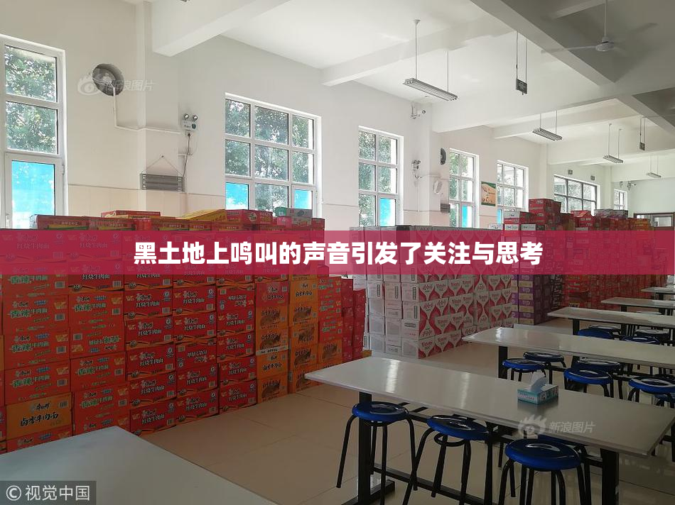 黑土地上鸣叫的声音引发了关注与思考