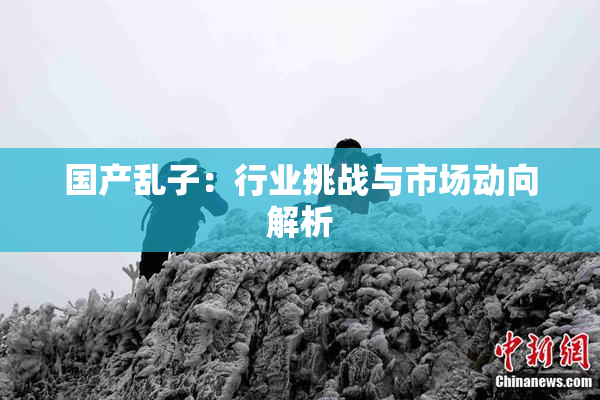 国产乱子：行业挑战与市场动向解析