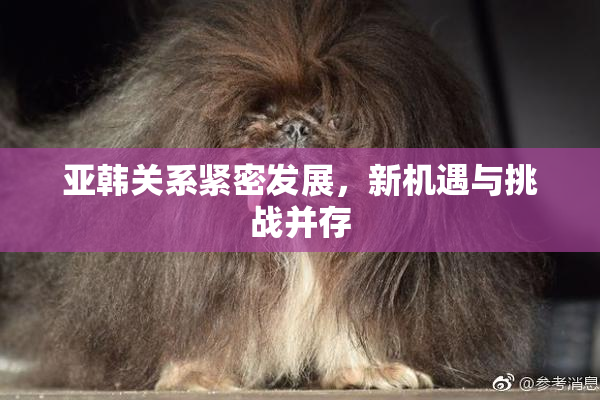 亚韩关系紧密发展，新机遇与挑战并存