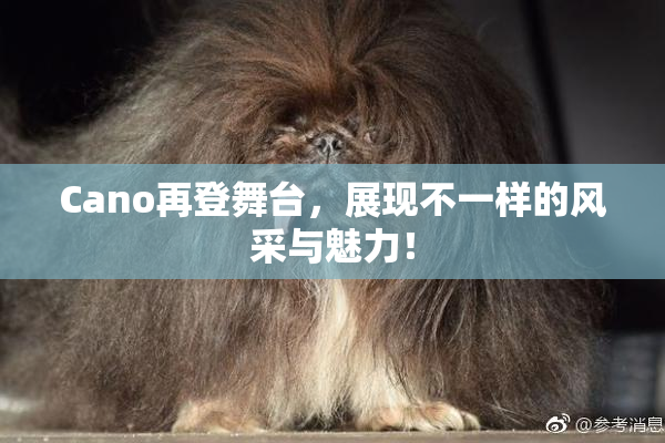 Cano再登舞台，展现不一样的风采与魅力！