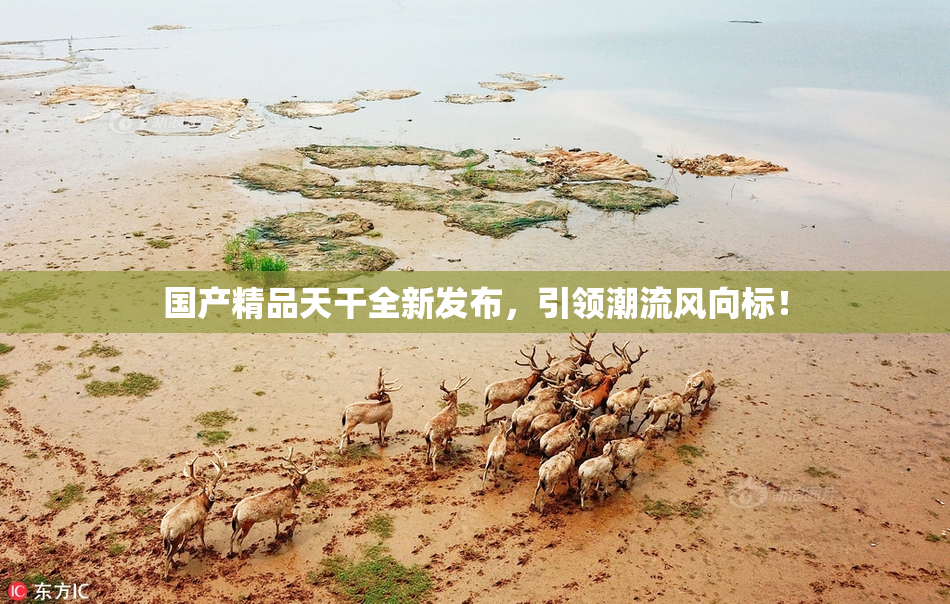 国产精品天干全新发布，引领潮流风向标！