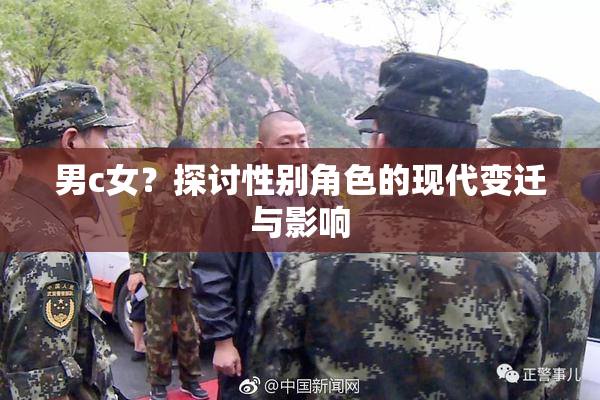 男c女？探讨性别角色的现代变迁与影响