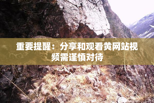 重要提醒：分享和观看黄网站视频需谨慎对待