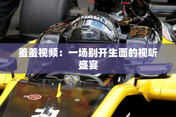 羞羞视频：一场别开生面的视听盛宴