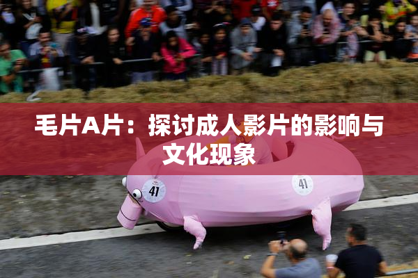 毛片A片：探讨成人影片的影响与文化现象