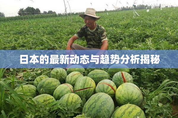 日本的最新动态与趋势分析揭秘