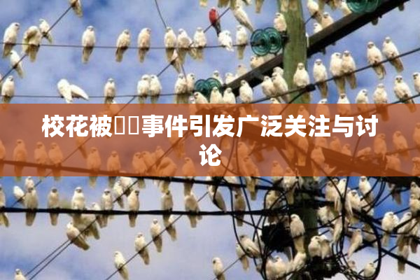 校花被❌‌事件引发广泛关注与讨论