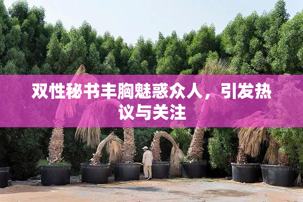双性秘书丰胸魅惑众人，引发热议与关注