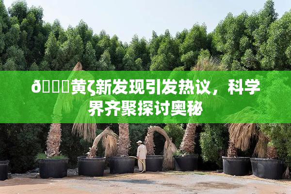 🔞黄ζ新发现引发热议，科学界齐聚探讨奥秘