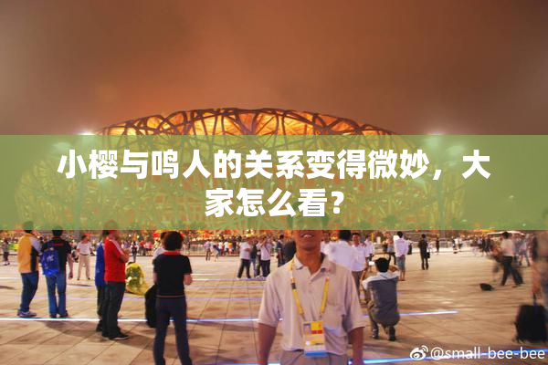 小樱与鸣人的关系变得微妙，大家怎么看？