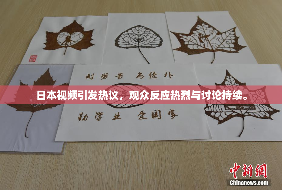 日本视频引发热议，观众反应热烈与讨论持续。