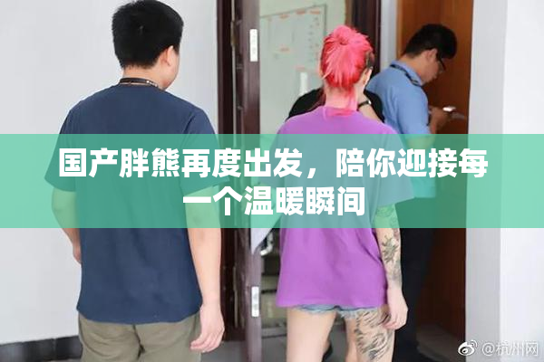 国产胖熊再度出发，陪你迎接每一个温暖瞬间