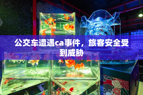 公交车遭遇ca事件，旅客安全受到威胁