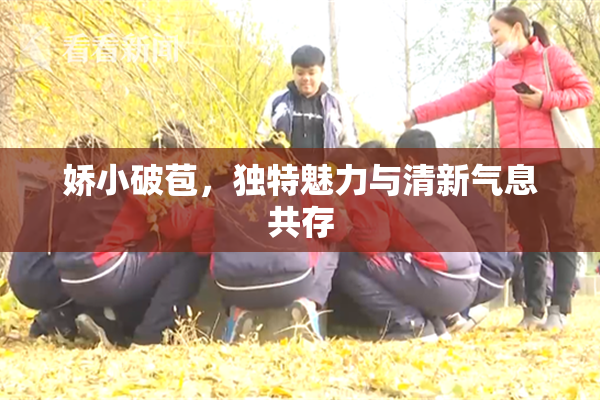 娇小破苞，独特魅力与清新气息共存