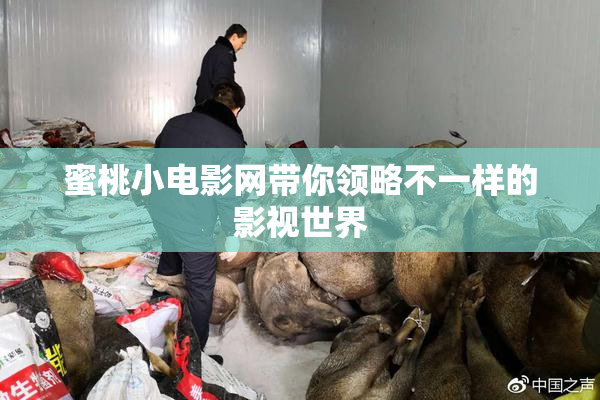 蜜桃小电影网带你领略不一样的影视世界