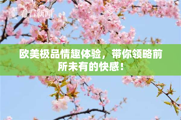 欧美极品情趣体验，带你领略前所未有的快感！
