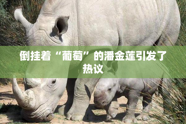 倒挂着“葡萄”的潘金莲引发了热议