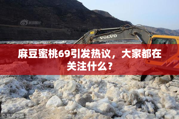 麻豆蜜桃69引发热议，大家都在关注什么？
