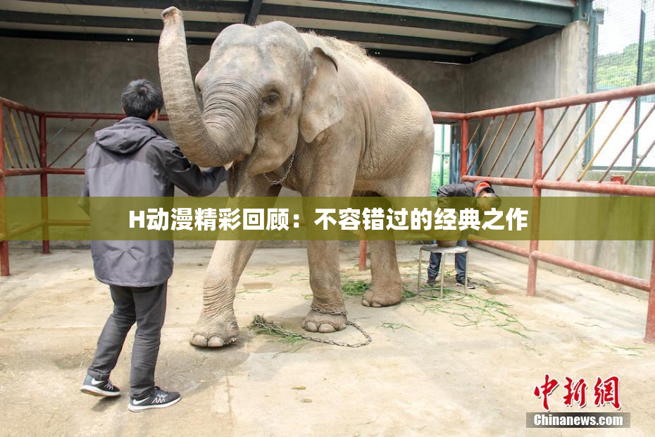 H动漫精彩回顾：不容错过的经典之作