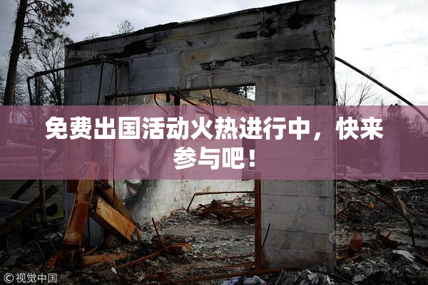 免费出国活动火热进行中，快来参与吧！
