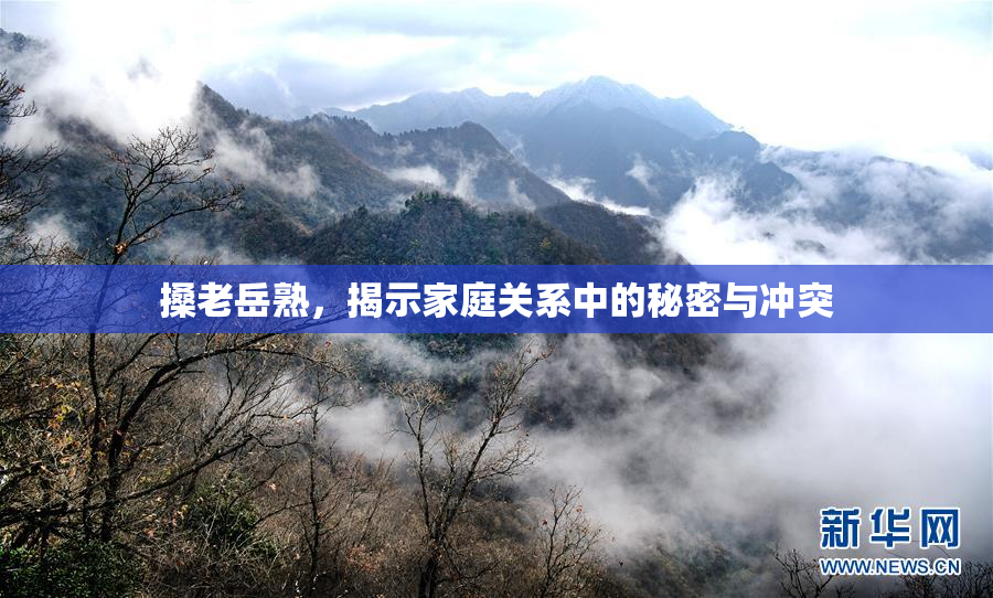 搡老岳熟，揭示家庭关系中的秘密与冲突