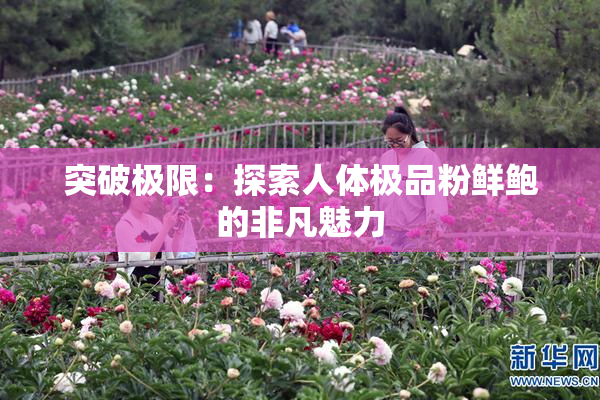 突破极限：探索人体极品粉鲜鲍的非凡魅力