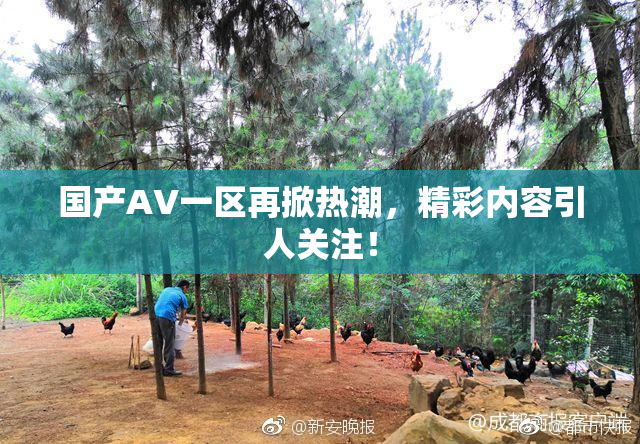 国产AV一区再掀热潮，精彩内容引人关注！