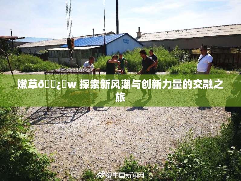 嫩草🌿‌w 探索新风潮与创新力量的交融之旅