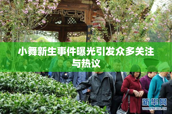 小舞新生事件曝光引发众多关注与热议