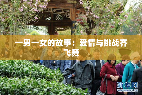 一男一女的故事：爱情与挑战齐飞舞