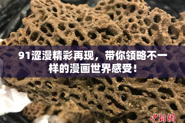 91涩漫精彩再现，带你领略不一样的漫画世界感受！