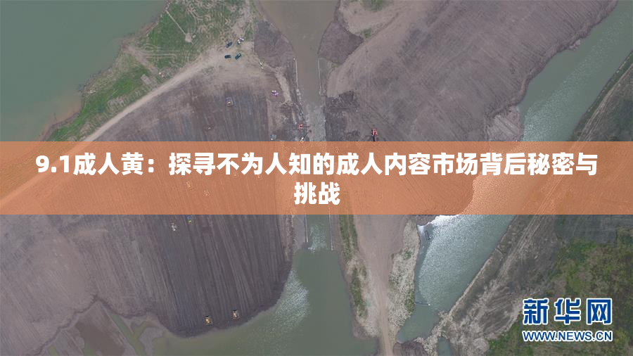 9.1成人黄：探寻不为人知的成人内容市场背后秘密与挑战