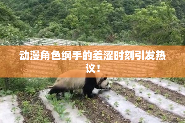 动漫角色纲手的羞涩时刻引发热议！