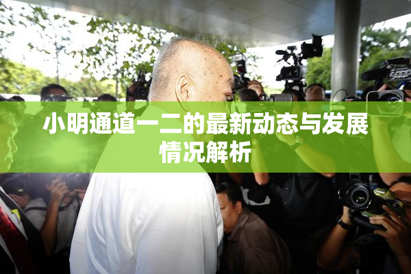 小明通道一二的最新动态与发展情况解析