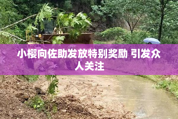 小樱向佐助发放特别奖励 引发众人关注