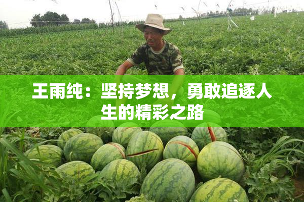 王雨纯：坚持梦想，勇敢追逐人生的精彩之路