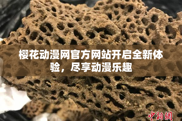 樱花动漫网官方网站开启全新体验，尽享动漫乐趣