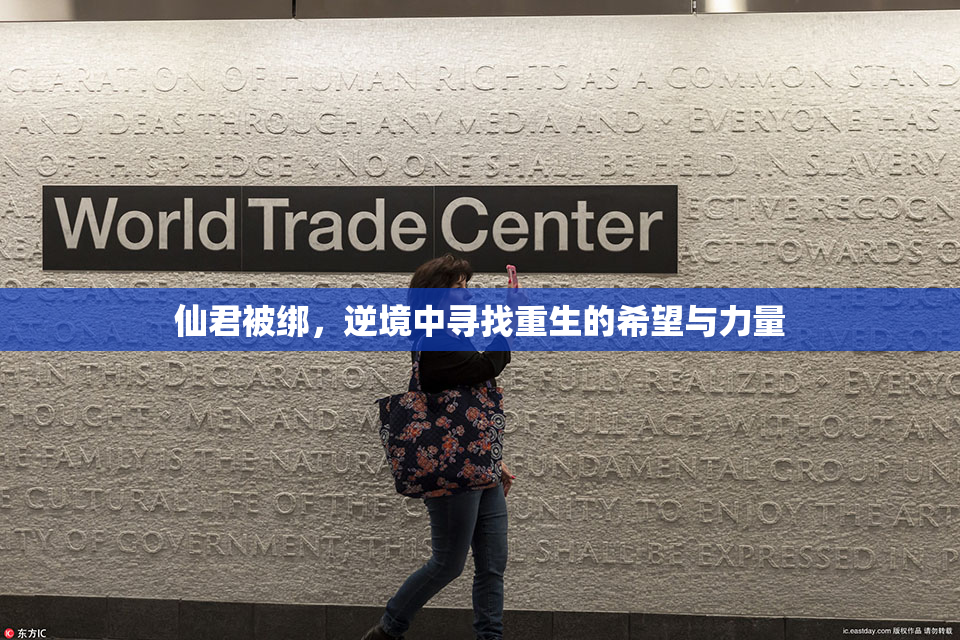 仙君被绑，逆境中寻找重生的希望与力量