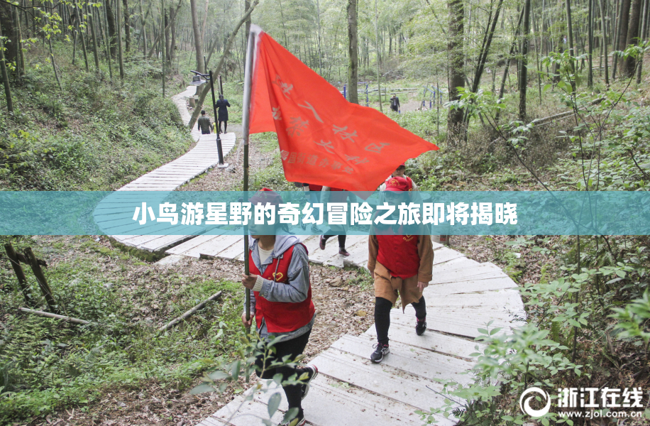 小鸟游星野的奇幻冒险之旅即将揭晓