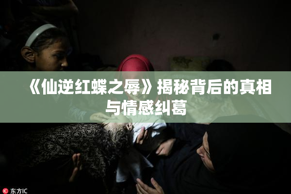 《仙逆红蝶之辱》揭秘背后的真相与情感纠葛