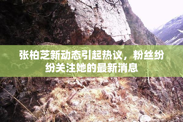 张柏芝新动态引起热议，粉丝纷纷关注她的最新消息