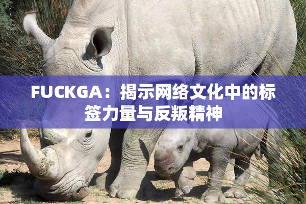 FUCKGA：揭示网络文化中的标签力量与反叛精神