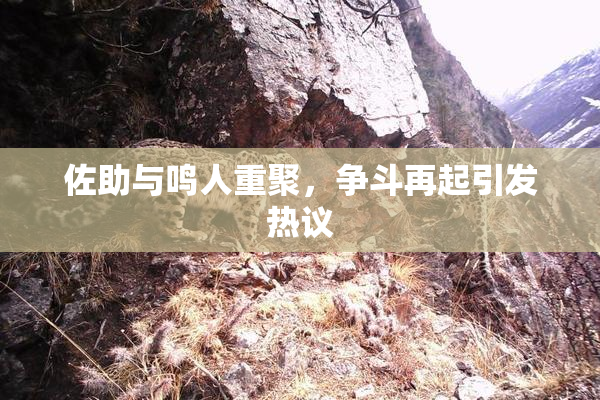 佐助与鸣人重聚，争斗再起引发热议