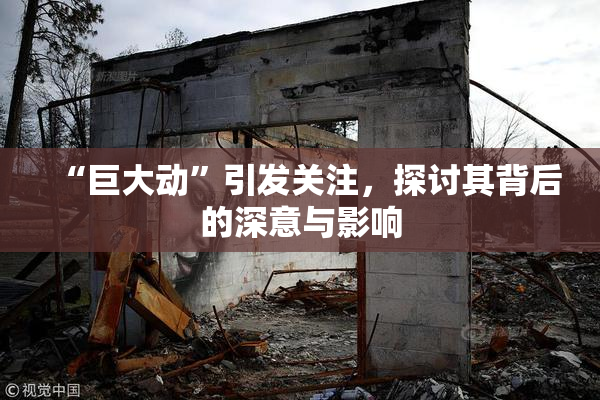 “巨大动”引发关注，探讨其背后的深意与影响