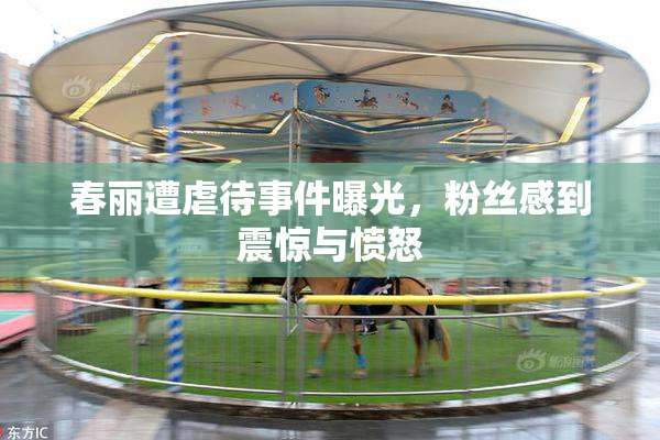 春丽遭虐待事件曝光，粉丝感到震惊与愤怒